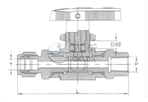 卡套内螺纹直通球阀