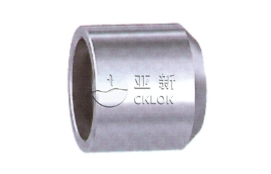 承插焊半管接头